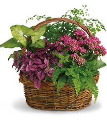 Secret Garden Basket from Olander Florist, fresh flower delivery in Chicago